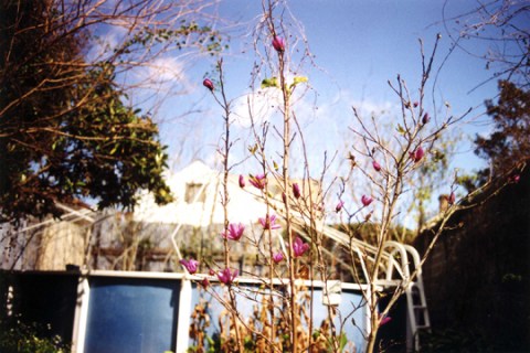 abovegrndpool2.small.SKB4