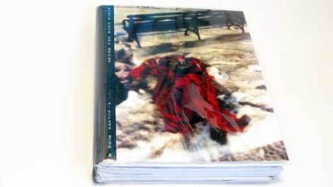 bookvwherehaveyougone-skb8small_1314