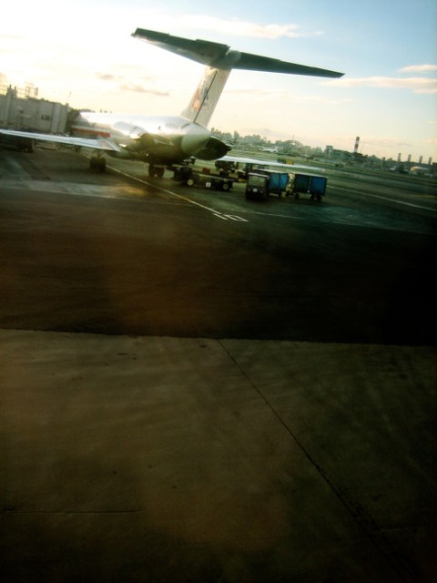 whale tale. laguardia, new york