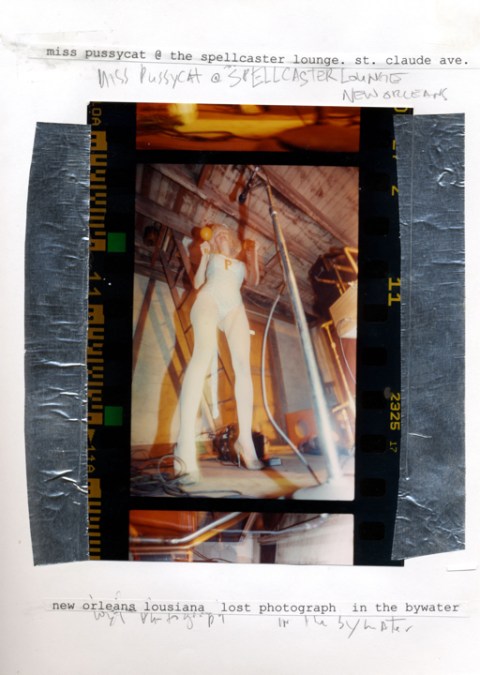 miss pussycat at spellcaster lodge new orleans