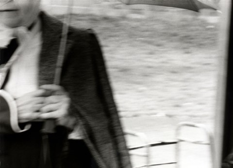 penumbrala downtown seattle wa